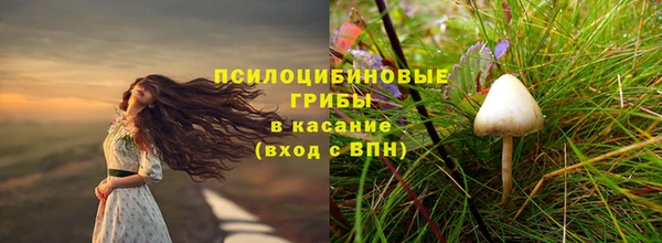 тгк Балахна