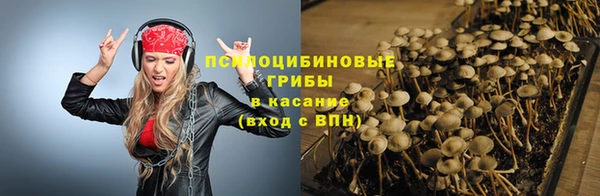 тгк Балахна